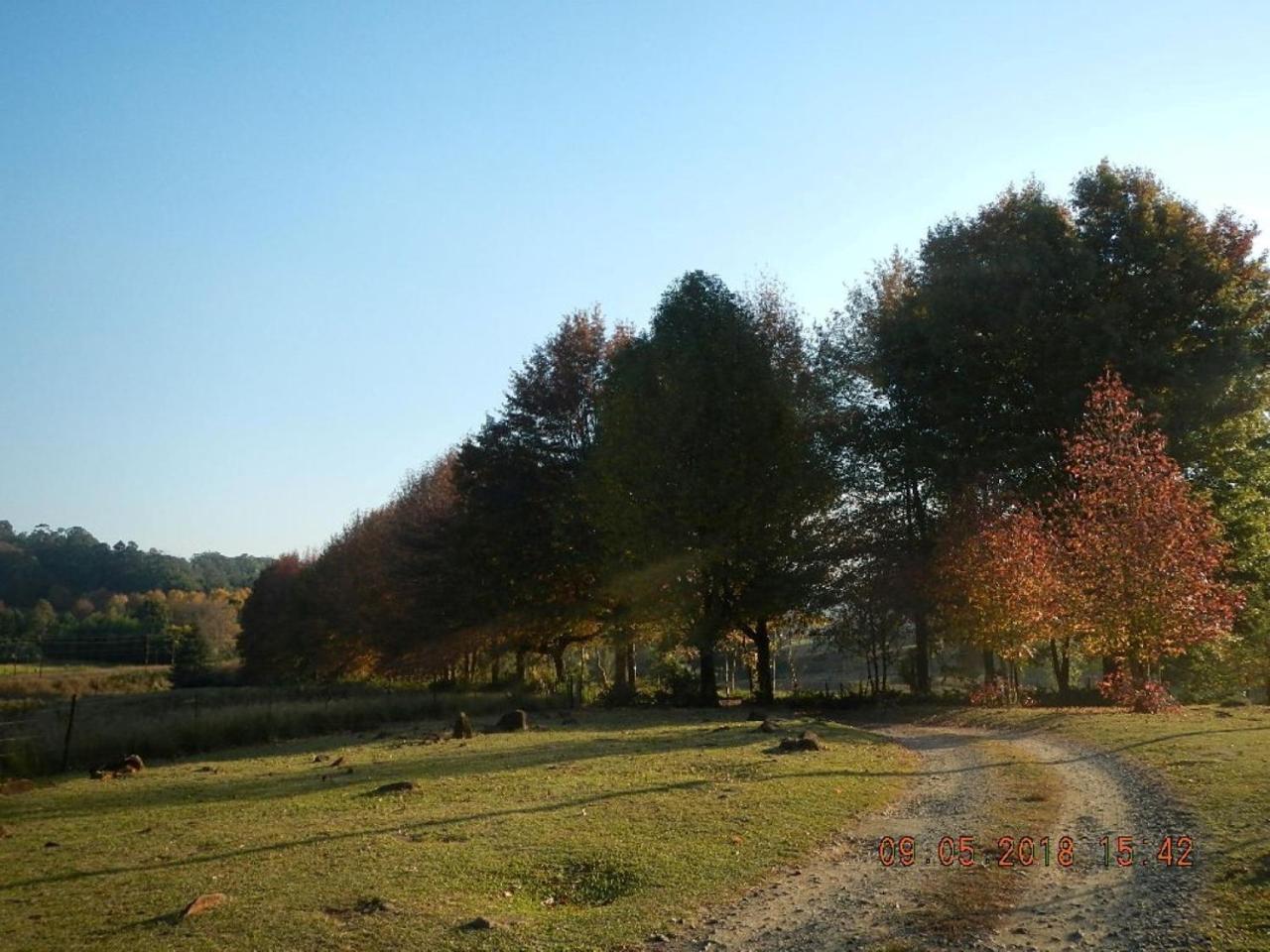 The Falls Cottages Howick Eksteriør billede